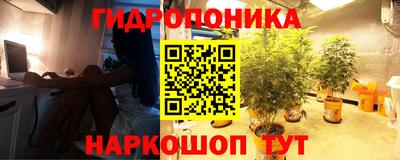 бошки Волгодонск