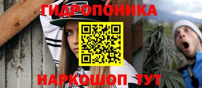 шишки Волжск